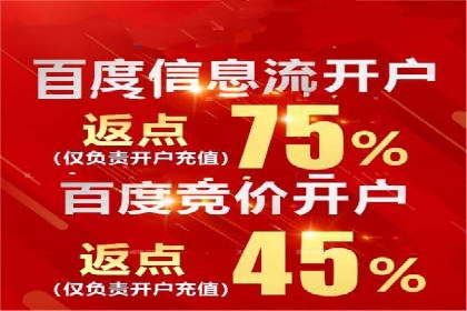 SEM搜索引擎优化：广告创意的策划与执行